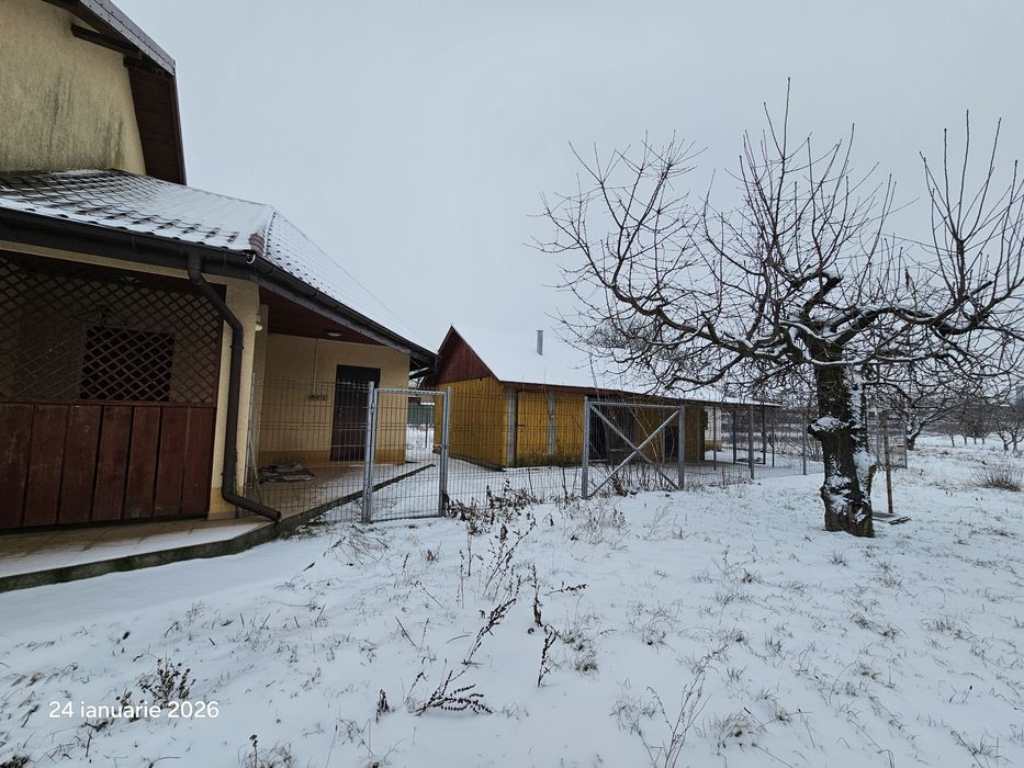 Casa de inchiriat