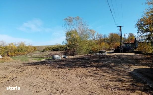 Cota de 1/4 dinteren extravilan- com. Buzoesti, jud. Arges