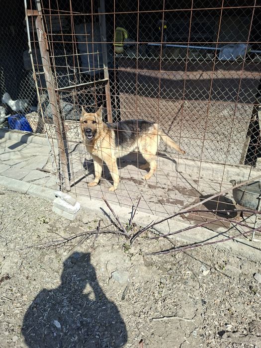 Кабель ВЕО вязка