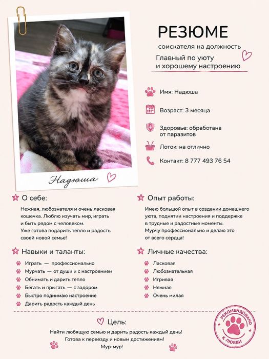 Красивые малышки