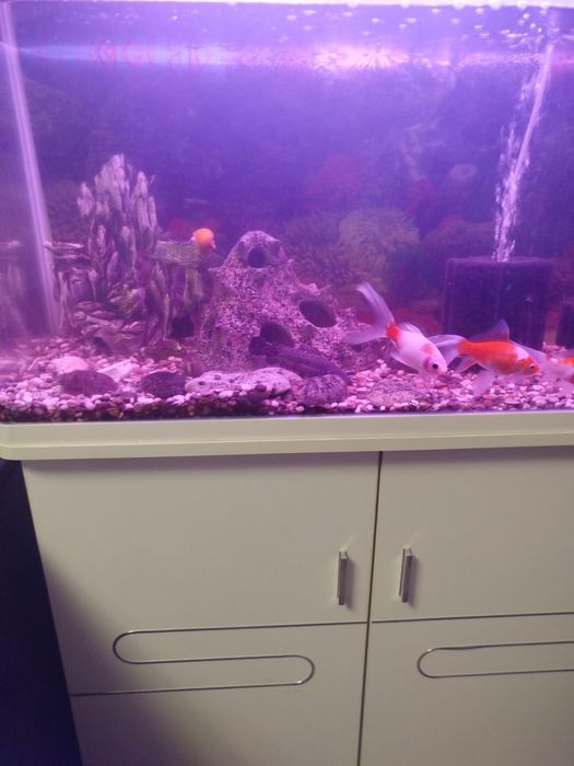 Продам Аквариум с тумбой