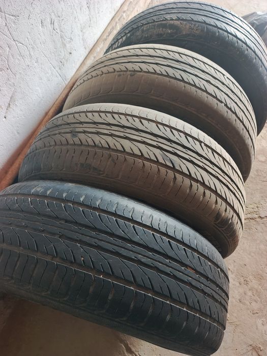 Letniy bolon sotiladi bevu