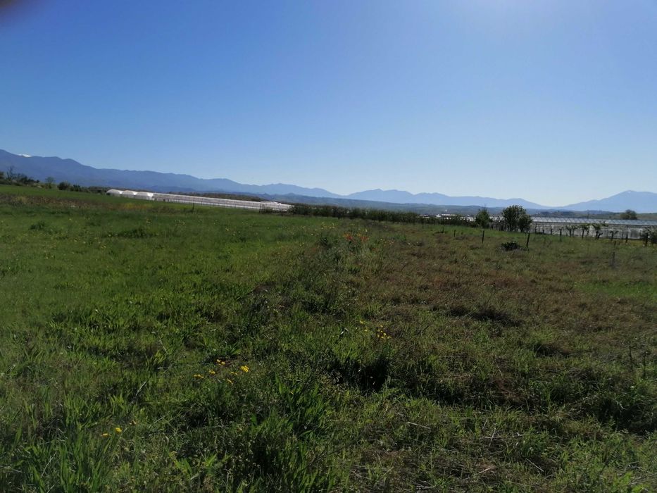 Продава се Къща в с. Ново Делчево, Област Благоевград - 90 кв.м за 2000 €/кв.м - Снимка #22