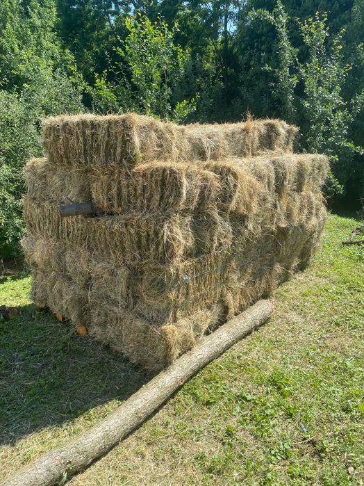 Vând baloți de fan, 10 lei balorul