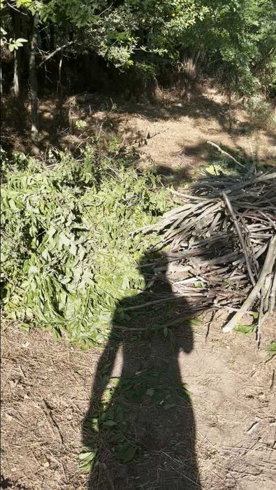 Почистване на запустели дворове. Плевене, цепене и подреждане на дърва, помощ с ръчен труд.