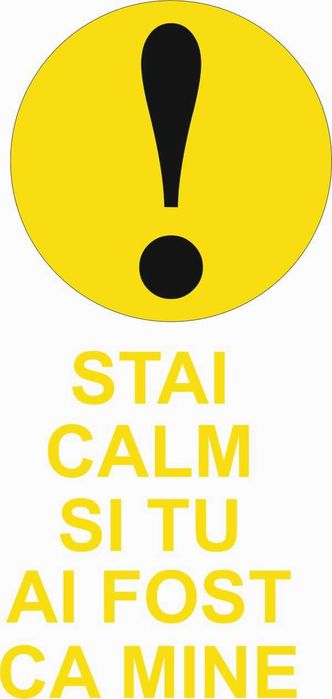 Stickere auto baby on board, semn incepator, limitare viteza,caine rau