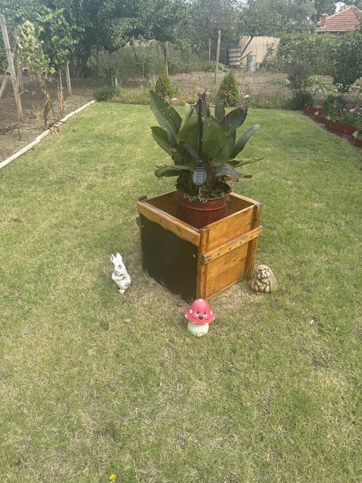 Военни дървени сандъци за пчелни кошери.