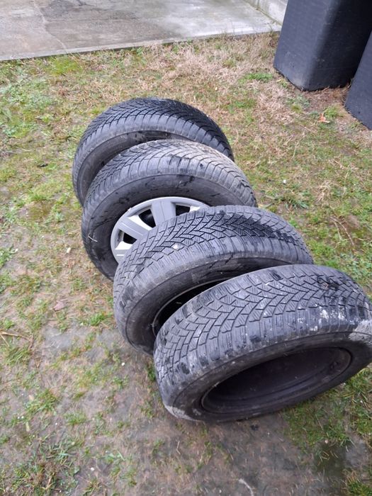 Roti 195 65 15 iarna