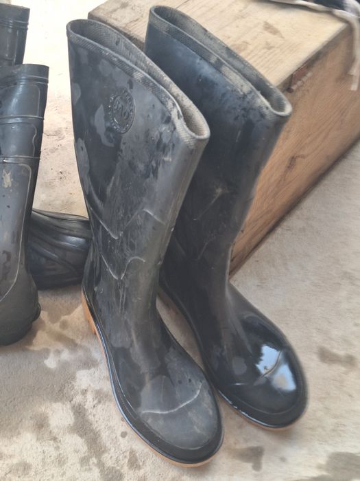 Продам охотничьи сапоги.