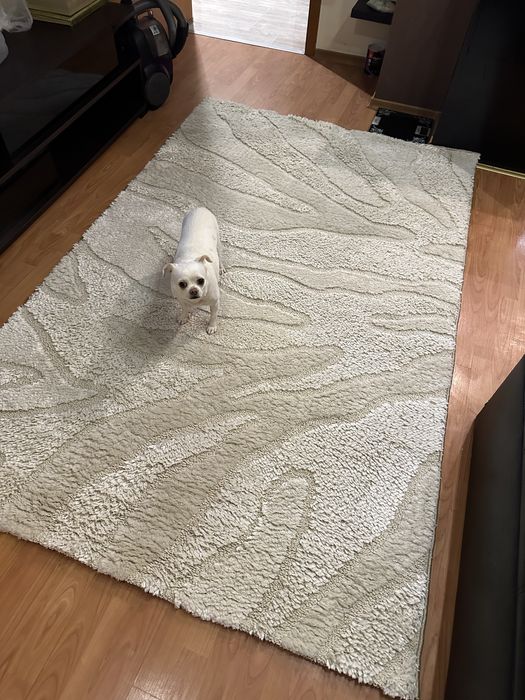 Бежов килим…………………………..