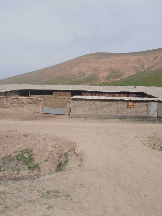 Yer uchastka , Molxona sotiladi. Angren shahri Semg`uron da