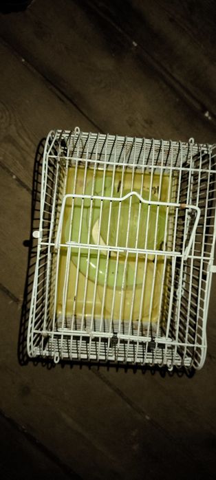 Клетка для хомяков