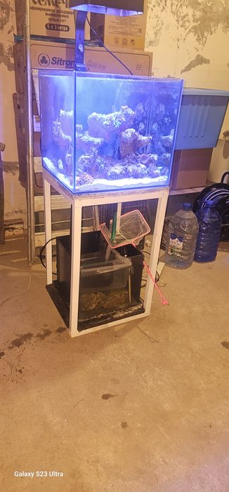 Akvarium marskoy