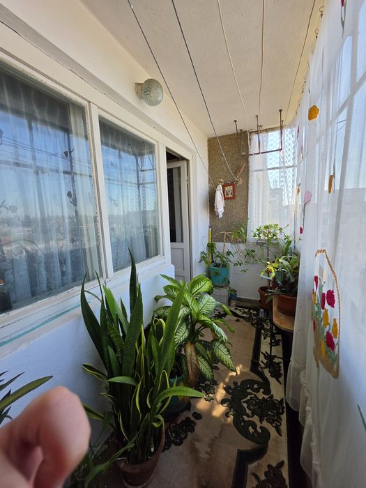 Apartament 2 camere Tomis 3
