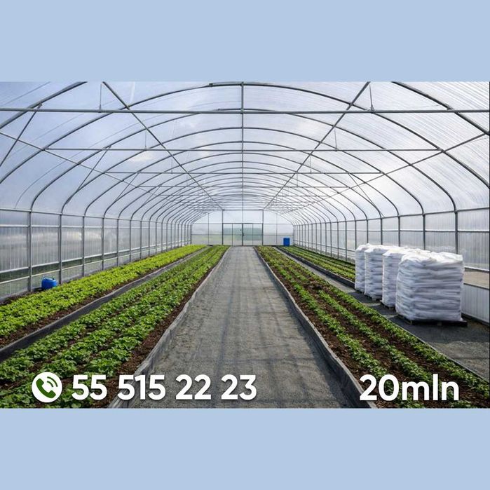 Koreya issiqxonalari va issiqxona uchun materiallar