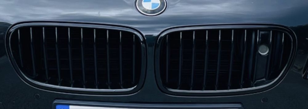 Бъбреци за bmw f10/f11 night vision