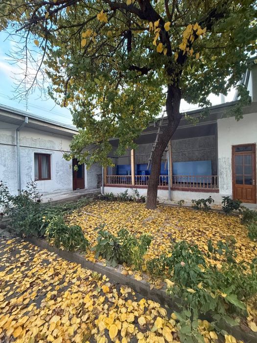 Назарбек Харакат 4 сотихли уй соотилади