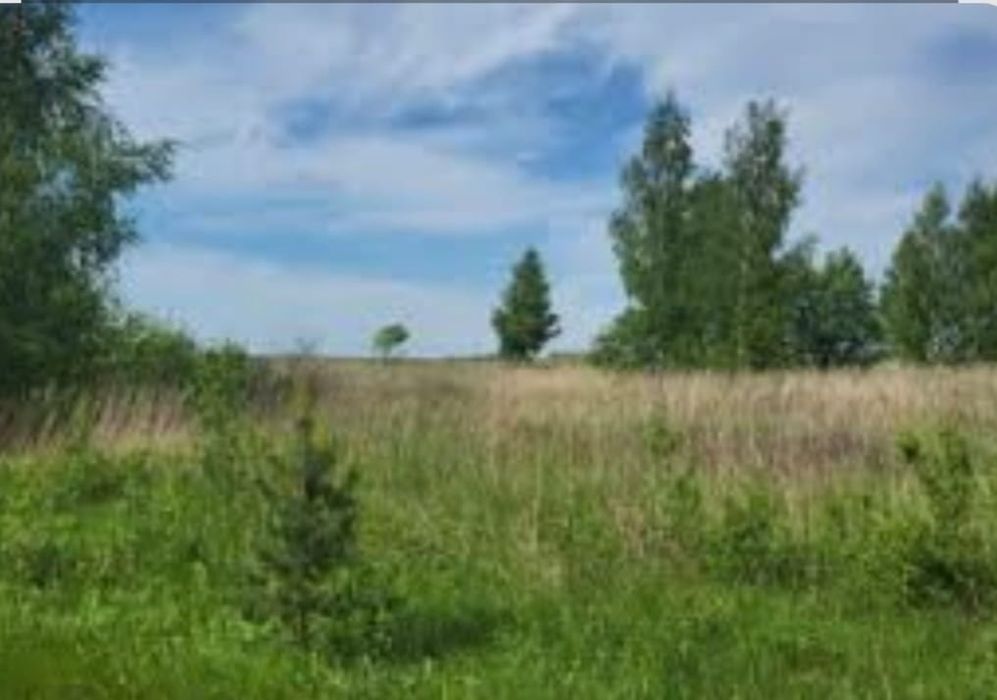 Продам земельный участок