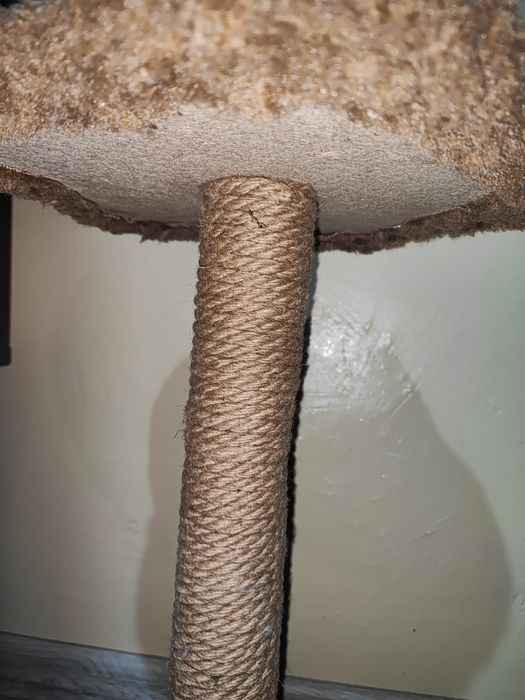 Когтеточка для кошек, лежак