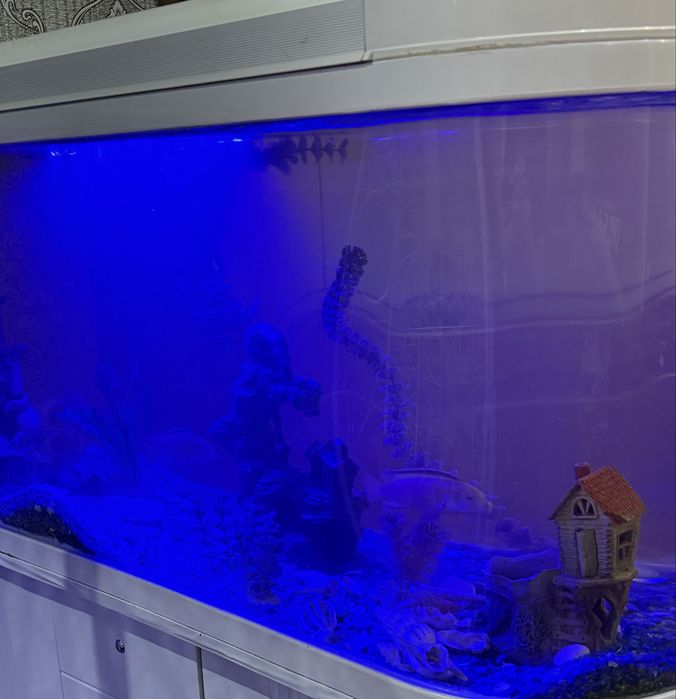 Аквариум 320 литров заводской