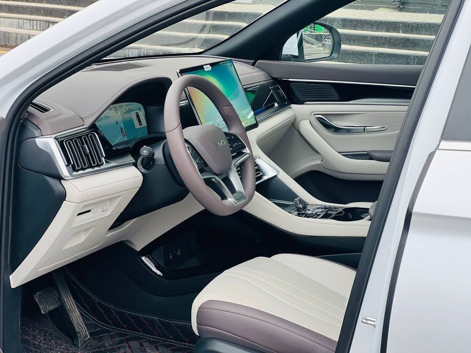 Byd chempion restaylig