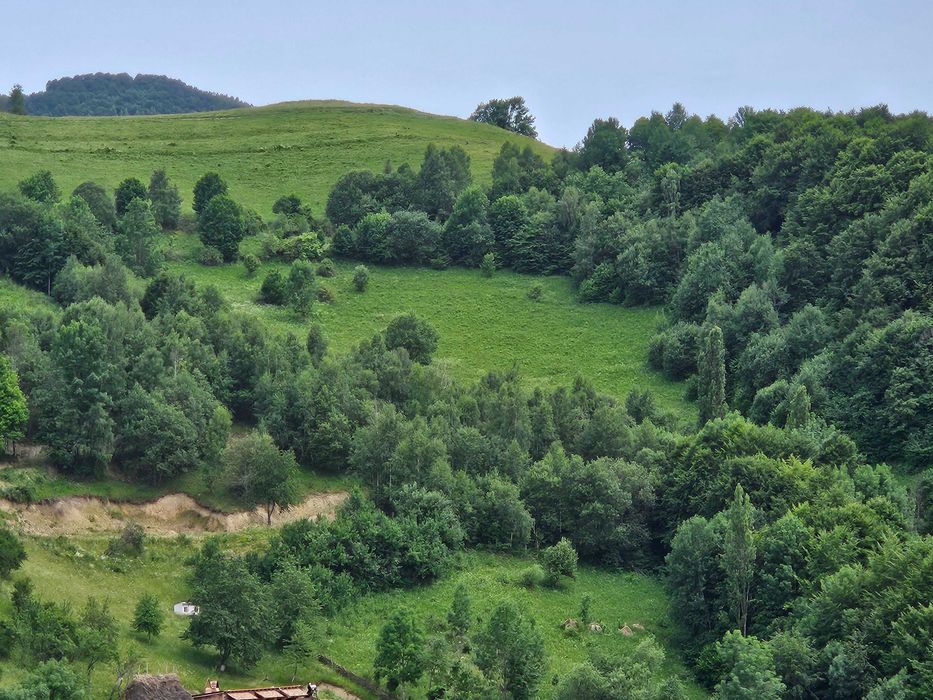 Teren de vanzare pe Transalpina de Apuseni
