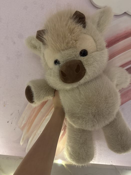 Теленок  очень милый бегаюший