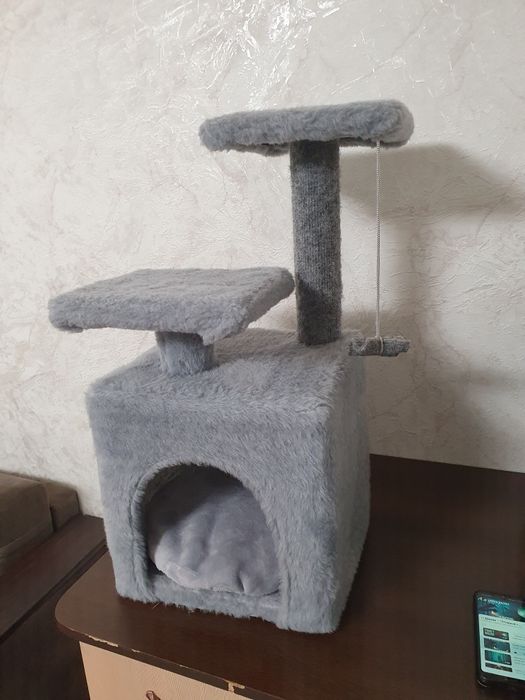 Когтеточка кошачья с домиком