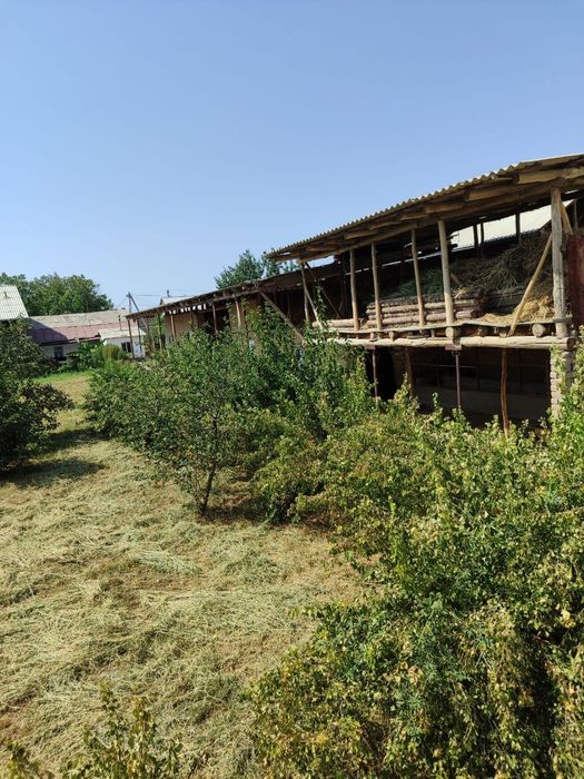 Toshkent viloyati qibray tumanida uy sotiladi.