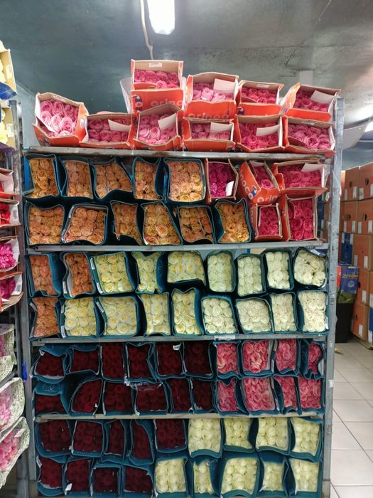 Розы пионы оптом