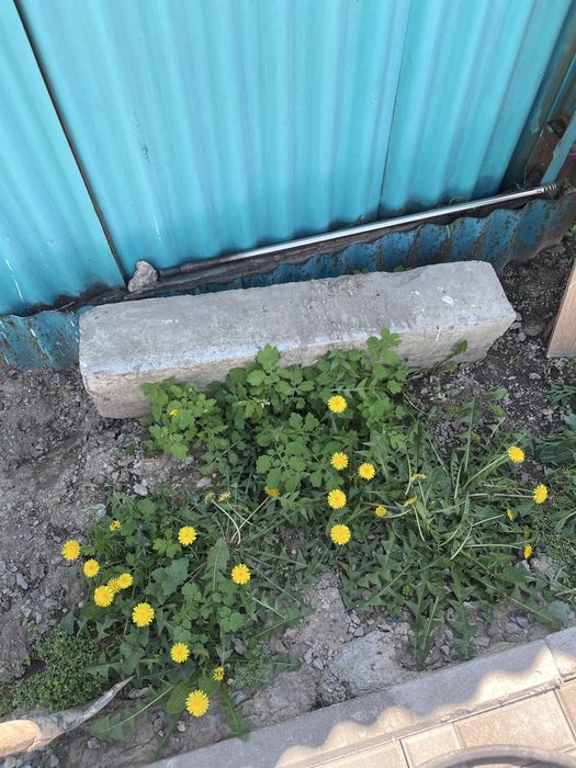 Отдам даром бордюр