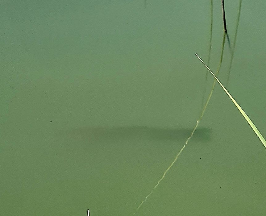 Земля! Продам 6,4 га земли.