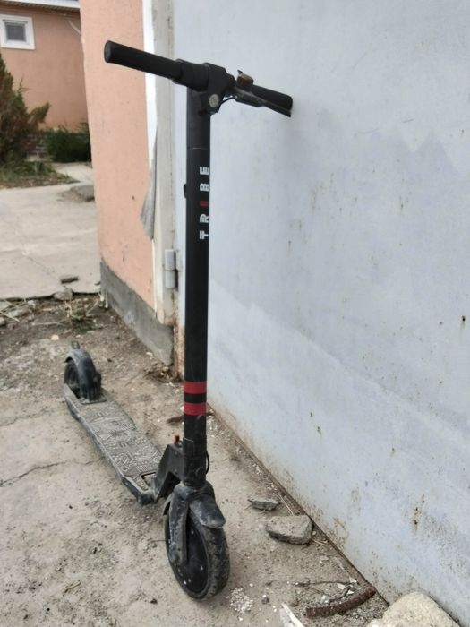 Салауат электрический