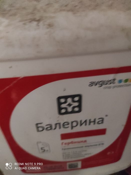 Оброботка обрезка плодовых деревьев