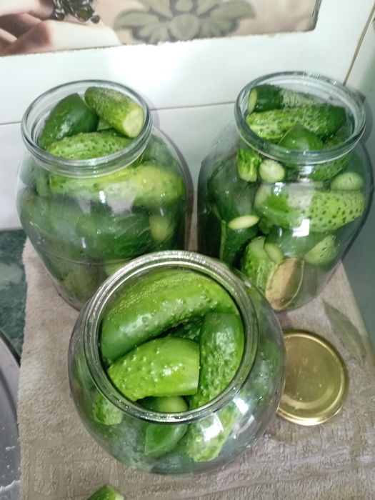 Рассада помидор, сладкого перца, огурцов.