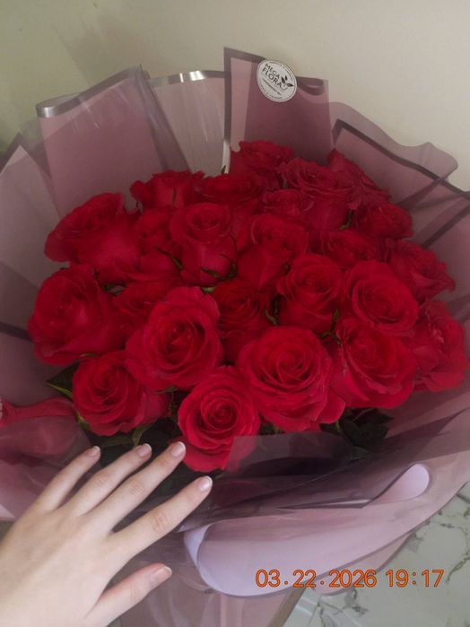 Красные розы, свежые