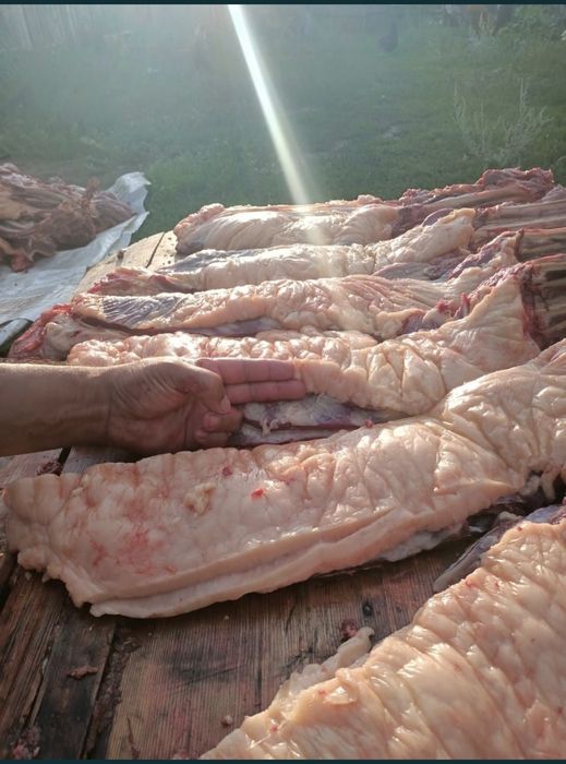 Жылқы еті, жылкы ет,  соғым мясо