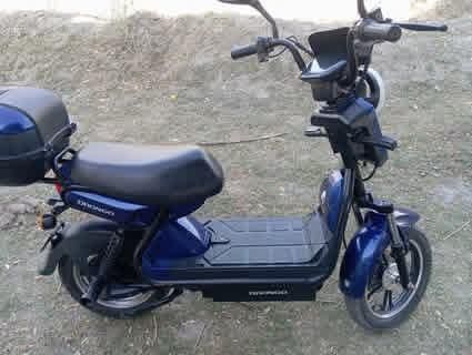 Drongo holati ajoyib