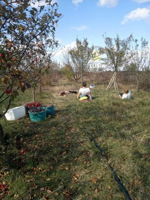 Locatie  petreceri piscina
