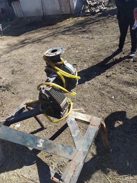 Grup de udat caprari