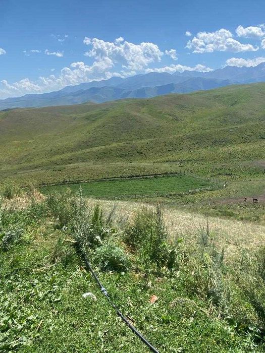 Продам 100 гектар(частная собственность)