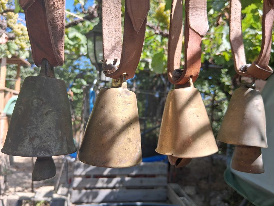 Звънци, Чан, Чанове