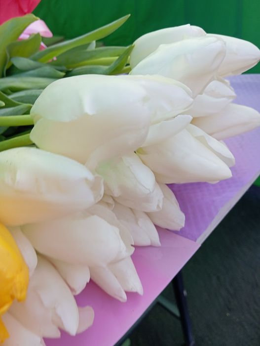 Тюльпаны в розницу