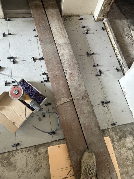 Дерево даром.