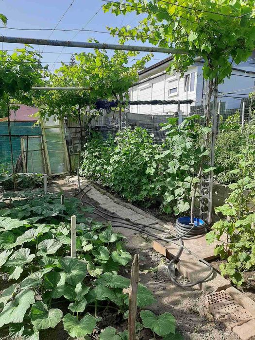 Продава се Къща в Балчик - 100 кв.м за 800 €/кв.м - Снимка #1