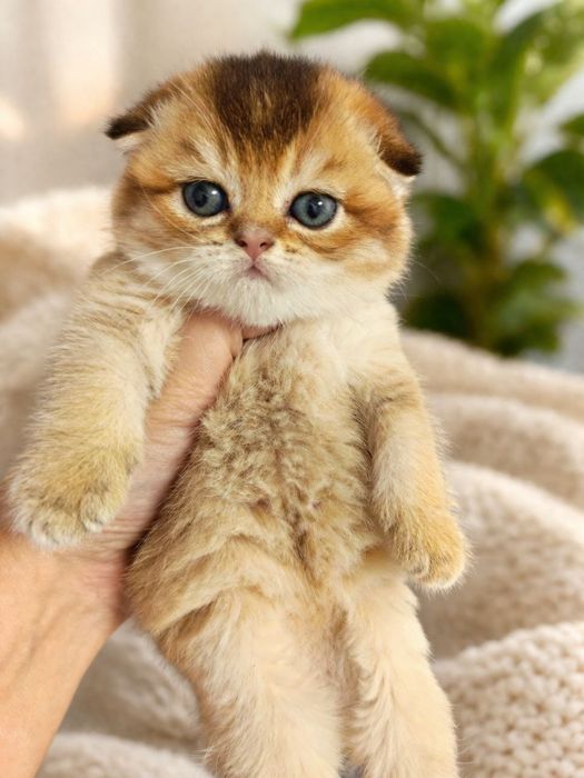 Прекрасный игривый мальчишка от правильной вязки