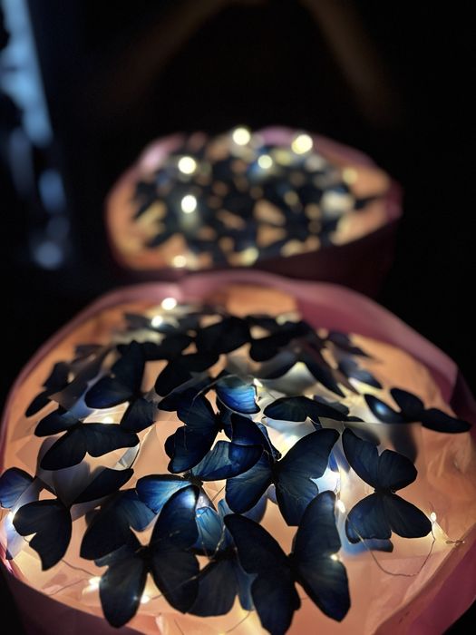 Букет из 33 бабочек