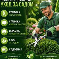 Обрезка роз, деревьев. Уборка территории. Услуги Разнорабочих