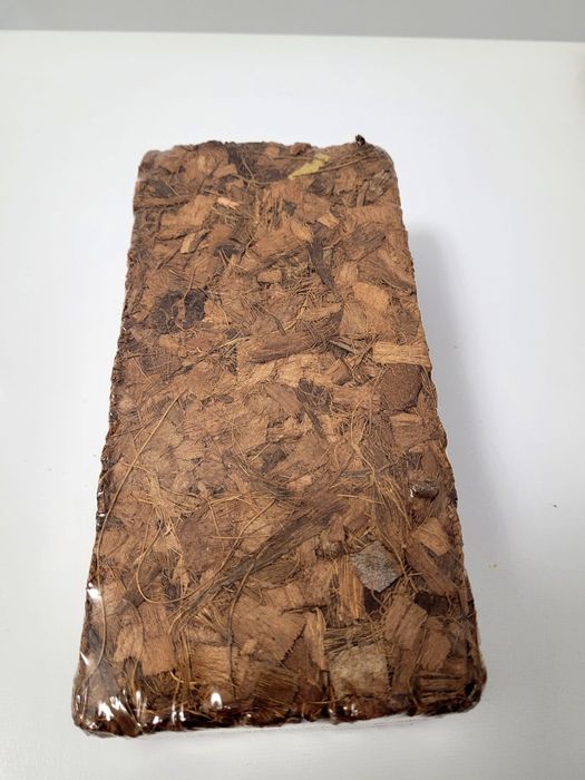 Substrat pentru Hoya