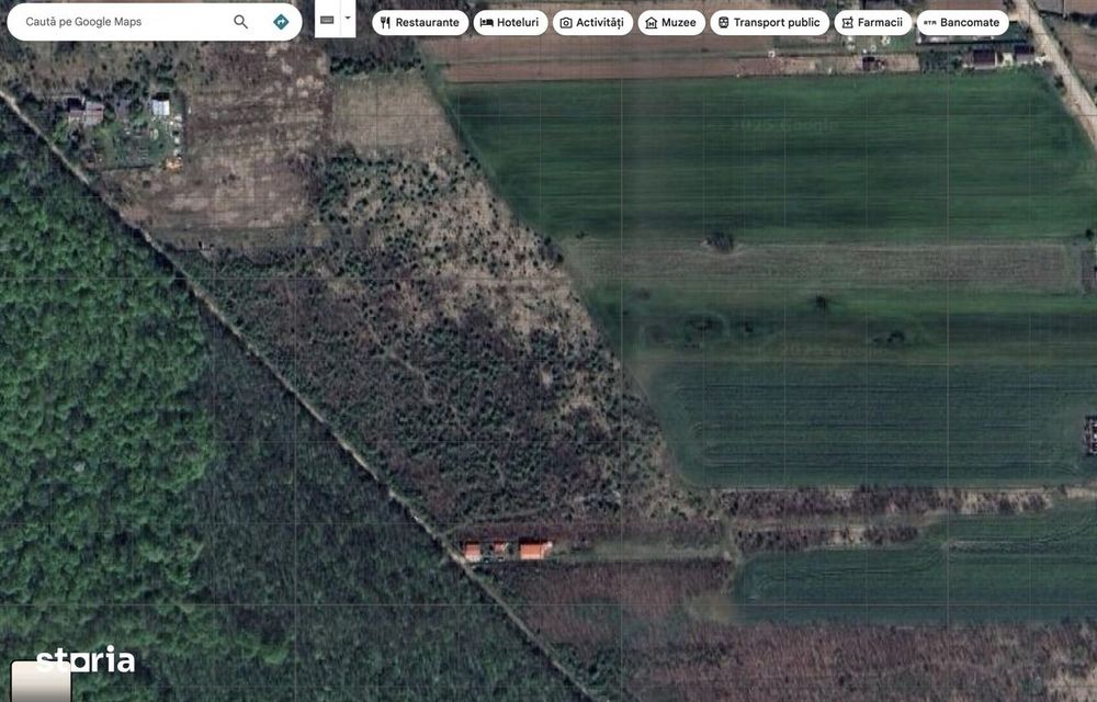 `Teren langa padure, Snagov - Strada Parcului